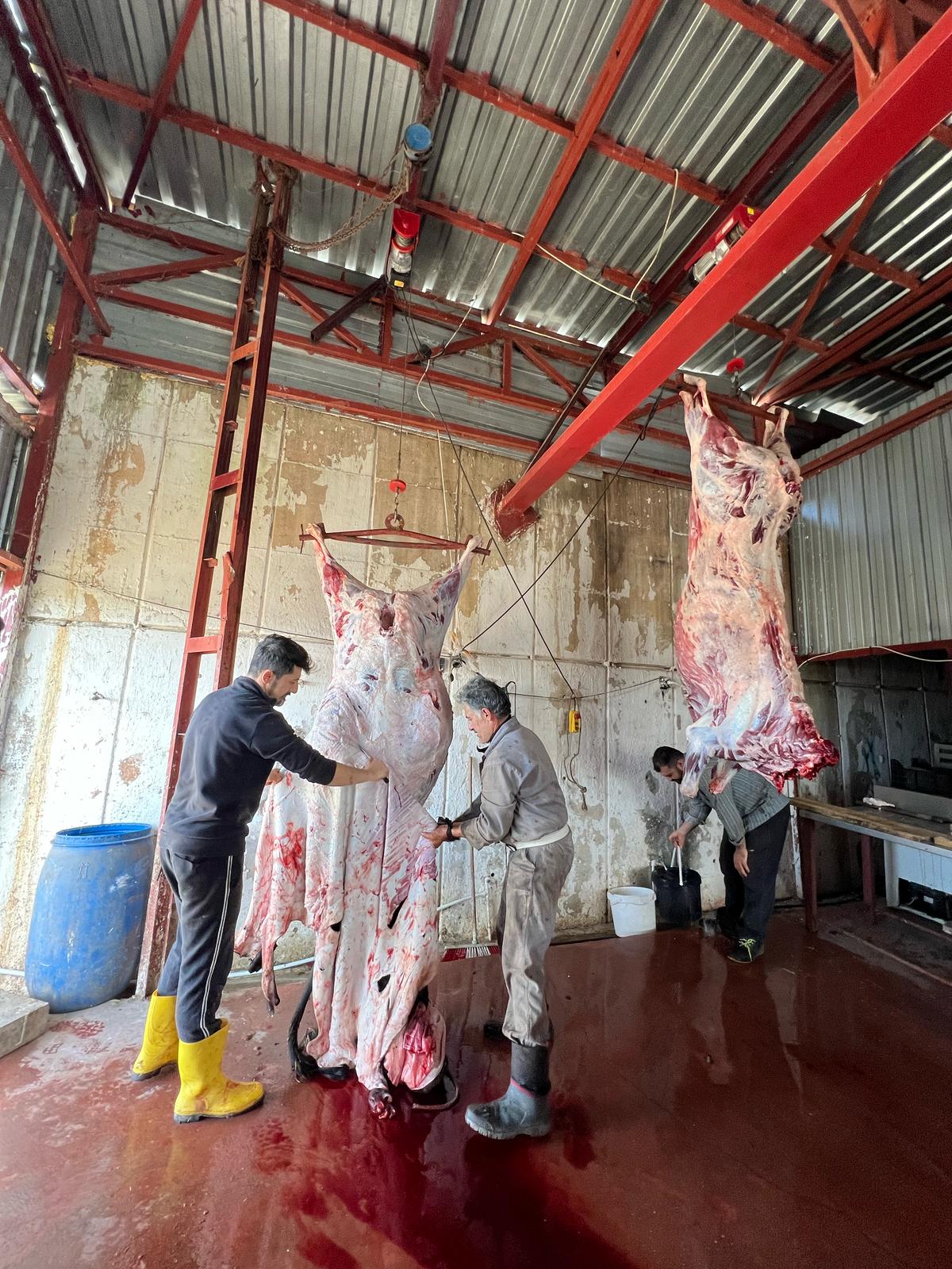 Resul Çiftlik Adaklık ve Kurbanlık